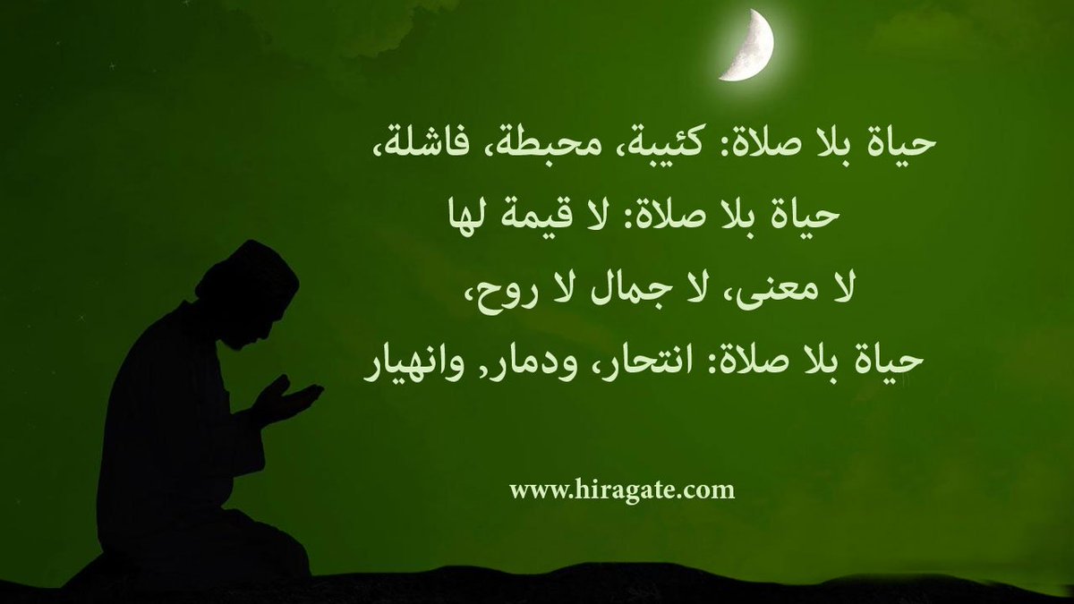 شعر عن الحياة 2366 6