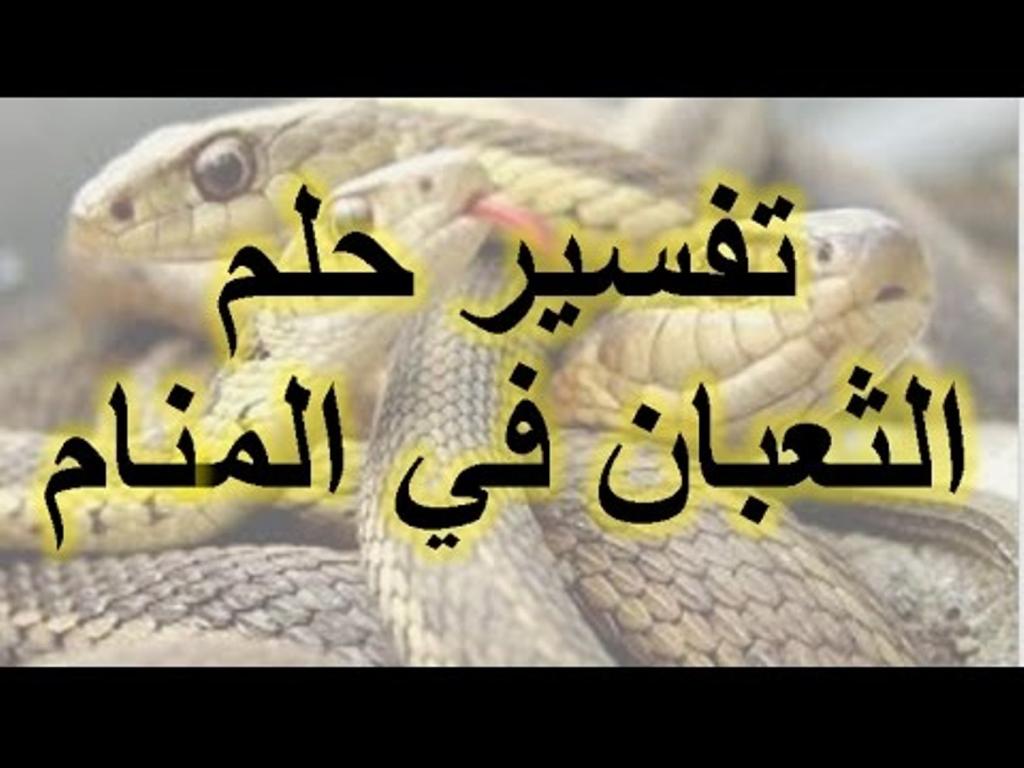 تفسير الاحلام الثعبان