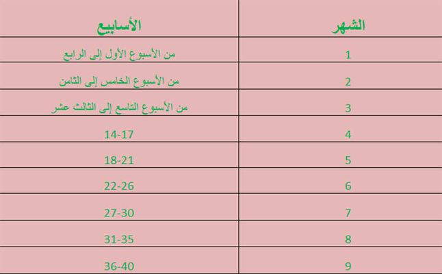 جدول حساب الحمل جدول الحمل بالاسابيع - ازى تعرفى تحسبى الحمل 3329 2