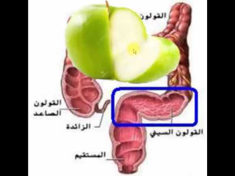 افضل علاج للقولون العصبي - افضل الوصفات فى علاج القاولون العصبى 3161 2