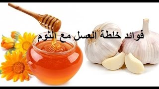 فوائد خليط الثوم مع العسل للجنس , فوائد تجهلها عن خليط الثوم مع العسل