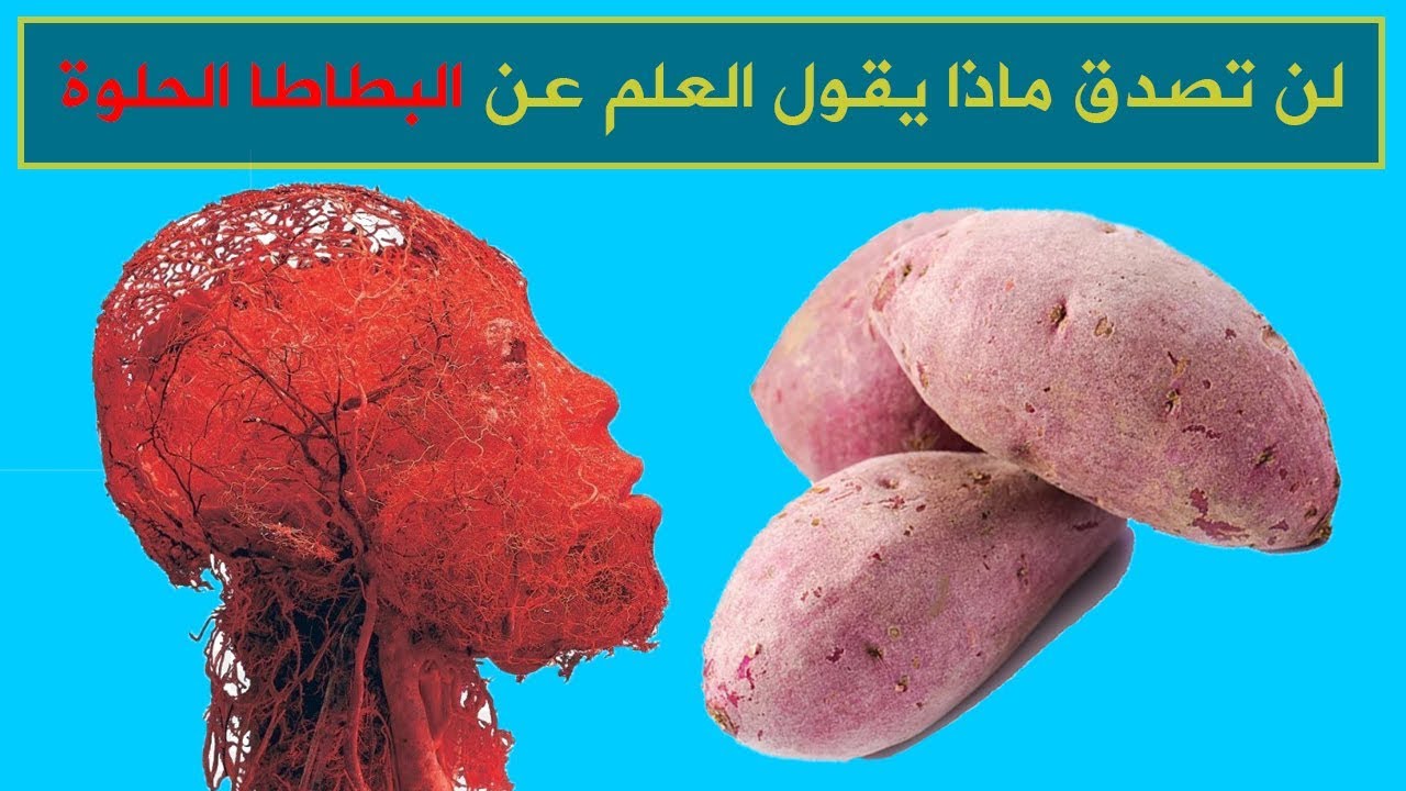 فوائد بطاطا الحلوة , اروع الفوائد للبطاطا