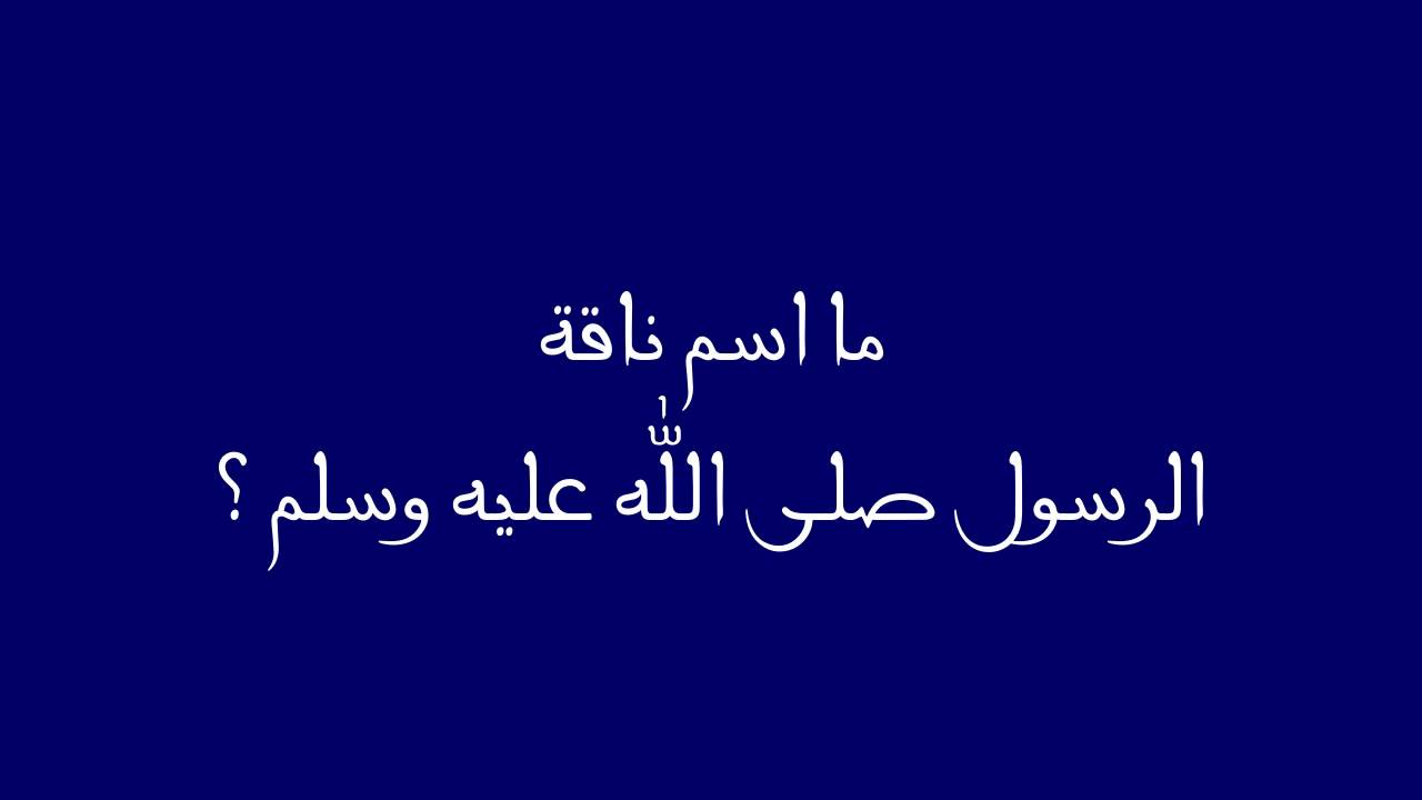 ما اسم ناقة الرسول - ناقة النبى 1749 2