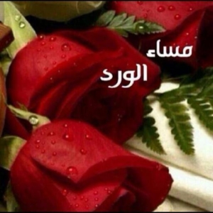 صور ورد مساء الورد 10984