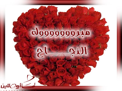 احلى صور للنجاح - صور روعه للنجاح 4814 6