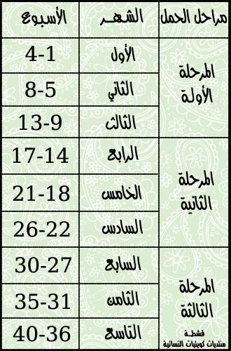 جدول حساب الحمل جدول الحمل بالاسابيع - ازى تعرفى تحسبى الحمل 3329 6