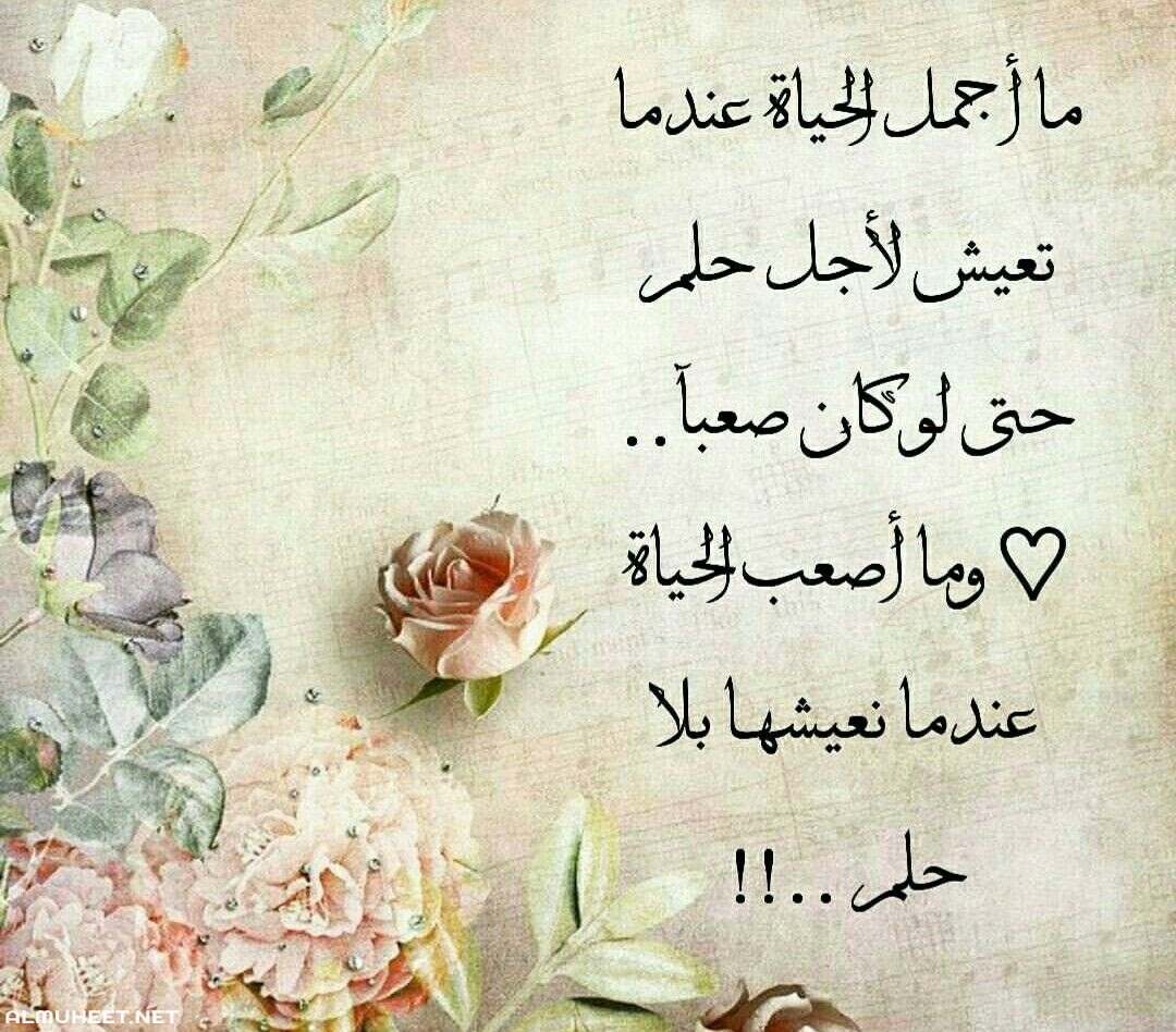 شعر عن الحياة 2366 3