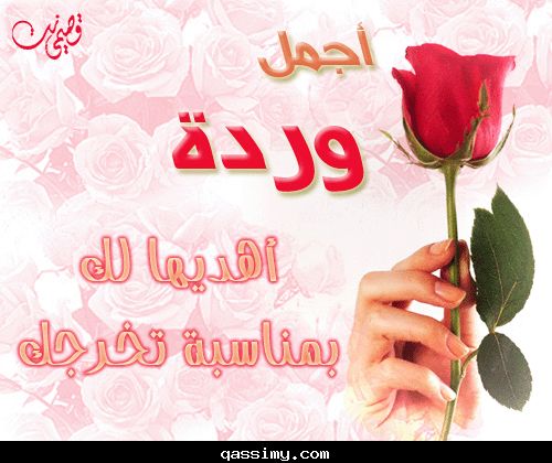 احلى صور للنجاح - صور روعه للنجاح 4814 1