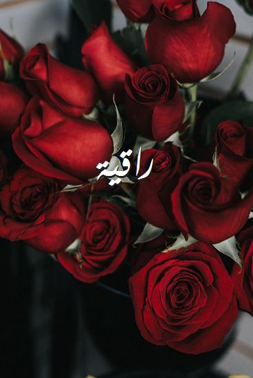 صور راقيه - الرقي سمة العظماء 2822