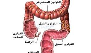 افضل علاج للقولون العصبي - افضل الوصفات فى علاج القاولون العصبى 3161 1