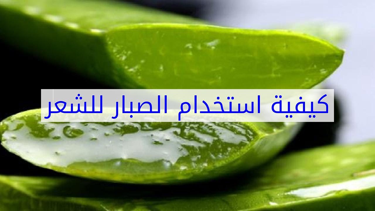 الصبار للشعر - الحفاظ على الشعر بالصبار