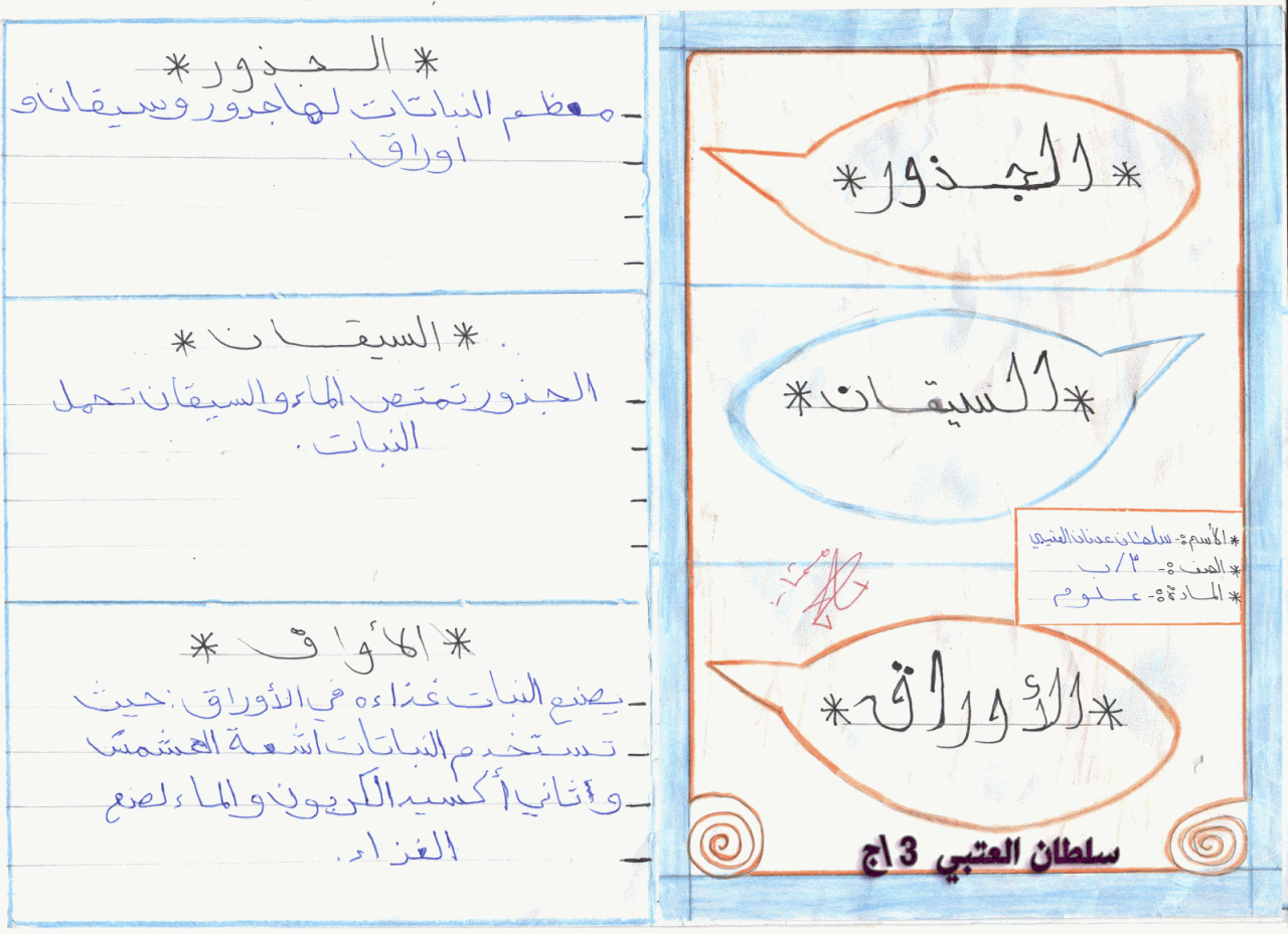 مطويات جاهزة للتحميل، أجمل المطويات تحفة 13510