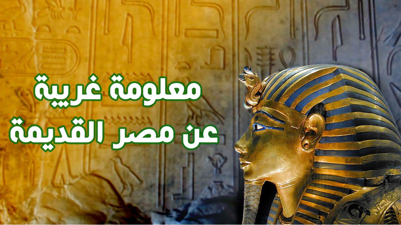 ثقف نفسك معلومات عامة - اهم المعلومات العامه العامه فى حياتنا 13238 2