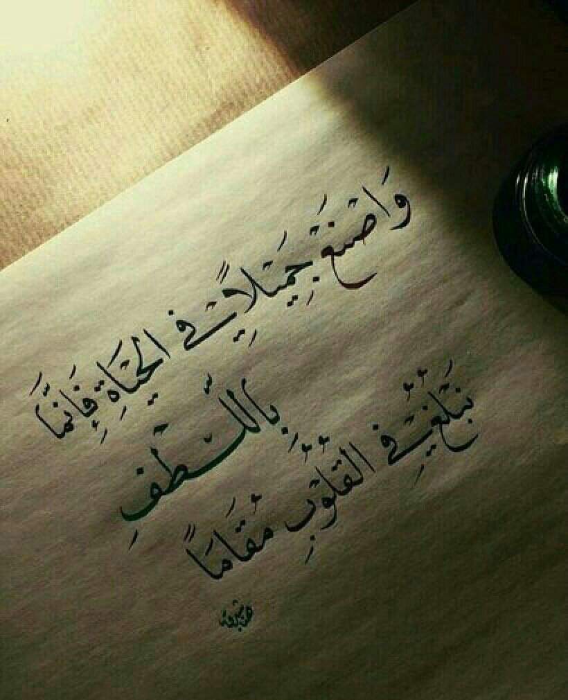 شعر عن الحياة 2366 4