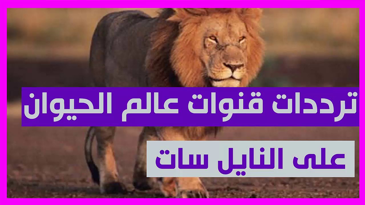 تردد قنوات الحيوانات - ترددات عالم الحيوانات 2021