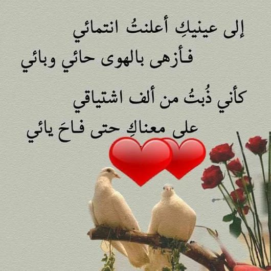 شعر حب للحبيب 2746 2