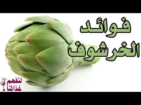 فوائد الخرشوف , اتعرف على نبات الخرشوف