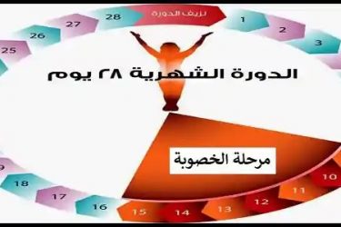 هل يحدث حمل بعد الغسل من الدورة بيوم , كيفية تحديد موعد الاباضة