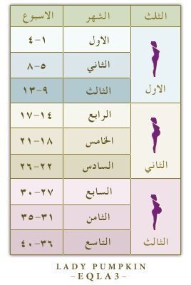 جدول حساب الحمل جدول الحمل بالاسابيع - ازى تعرفى تحسبى الحمل 3329 5