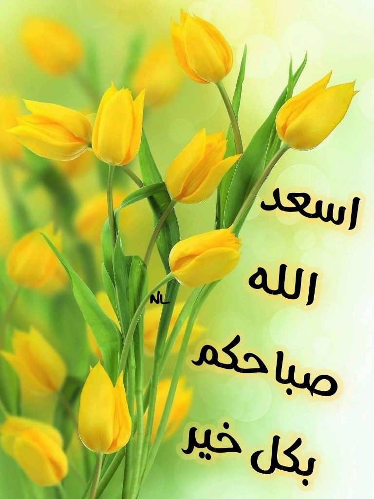 اسعد الله صباحكم 6180 11