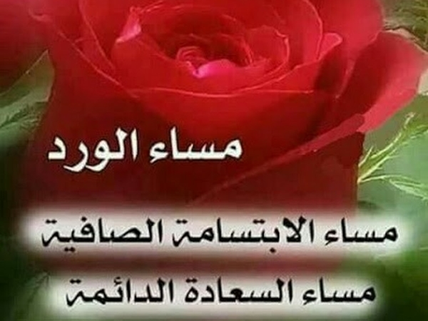 صور مساء الورد - اسعد واحلي مساء 4095 7