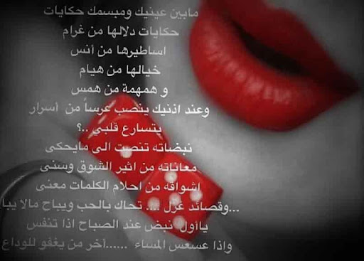 شعر حب للحبيب 2746 9