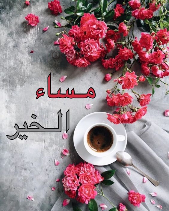 صور مساء الورد - اسعد واحلي مساء 4095 9