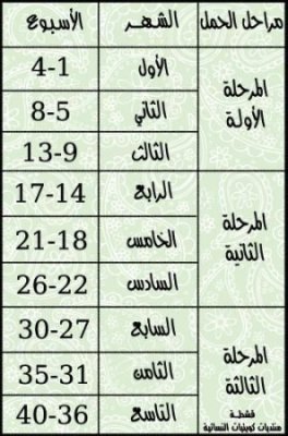 جدول حساب الحمل جدول الحمل بالاسابيع - ازى تعرفى تحسبى الحمل 3329 1