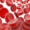 640 2 نقص الحديد في الدم - اسباب ومخاطر نقص الدم هند