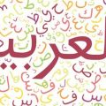 789 2 كلمات لغة عربية فصحى - كلمات عربية لا تعرف معناها مروه