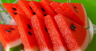 1286 1 فوائد بذور البطيخ الاحمر - ماذا تعرف عن فوائد بذور البطيخ ليان سعود