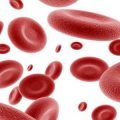 5634 2 علاج الانيميا الحادة بالاعشاب - كيفيه علاج فقر الدم بالاعشاب عاطرة عطوي