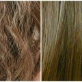 6264 2 وصفات للشعر الجاف والمتقصف والهايش - وصفات لترطيب الشعر هند