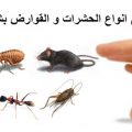 10043 2 مكافحة حشرات بمصر - افضل شركات لمكافحه الحشرات فى مصر غدير مطلق