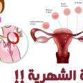 3584 1 الدورة الشهرية عند البنات - معلومات هامه جدا لكل بنت مروه