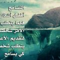 5916 1 قصيدة عن التسامح - شعر عن التسامح والعفو يسرا شوقي