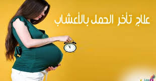 5921 علاج الحمل بالاعشاب - اهم الاعشاب التى تساعد فى علاج تاخر الحمل دعاء منصور