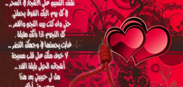 5955 8 قصائد حب رومانسية - اقوى قصائد الحب والغرام رووووعه دعاء منصور