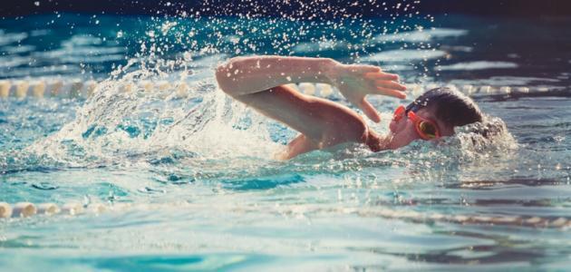 12996 1 فوائد السباحة للجسم - اهميه السباحه لعضلات الجسم رحيق مقتدر