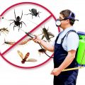 10033 1 أفضل الطرق للتخلص من الحشرات -مكافحة الحشرات طائش