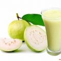 11098 1 فوائد عصير الجوافة هند