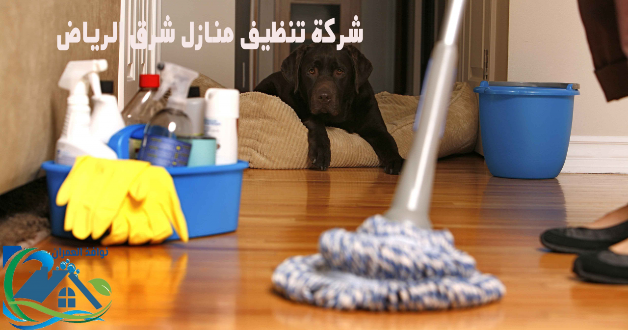 13723 شركة تنظيف منازل بشرق الرياض، أروع شركات تنظيف بالرياض طائش