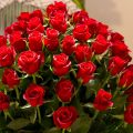 2382 8 أجمل الورود الرومانسيه متحركة -ورود حمراء رومانسية متحركة خلود عدلي