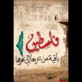 19682 1 اغنية الله يصبرهم علي الثوره يقدرهم،اجمل الاغانى الشعبية النسائية الفلسطينية رهف